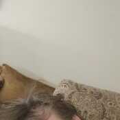 HornyWithHardCock