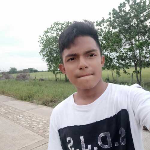 alejoguz662