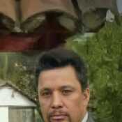 Pegasso
