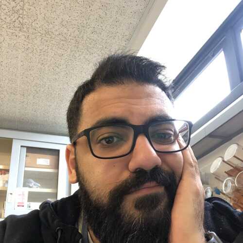 mkassemsurgeon