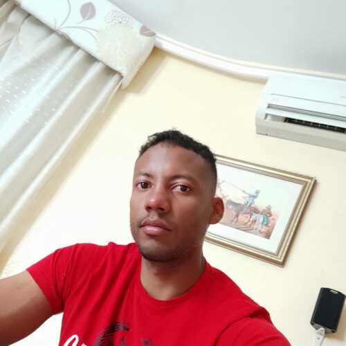 yanse305