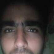 freagus698
