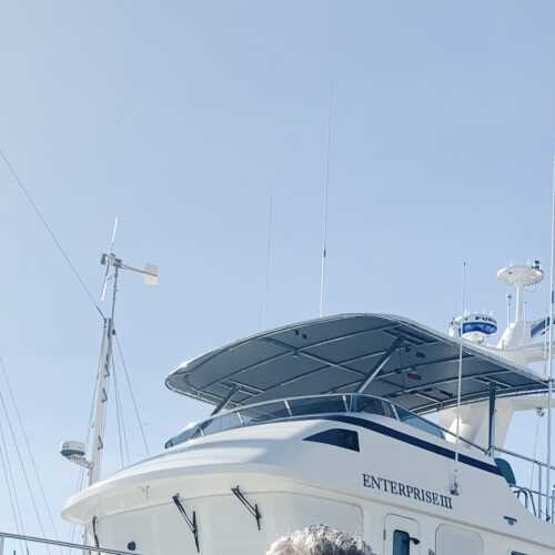 alliv22
