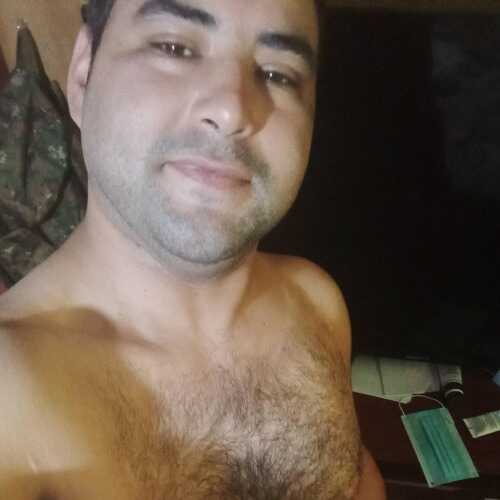 luisaroldogo738