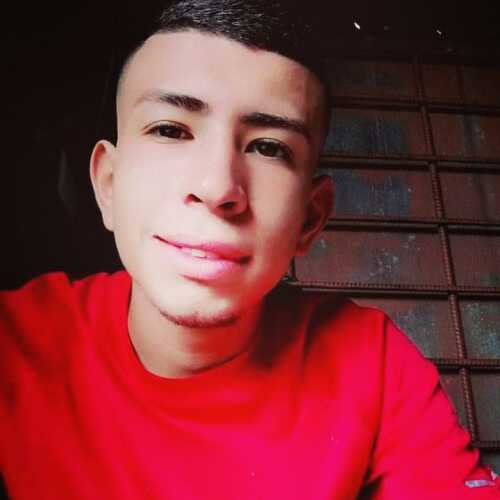 pilo973