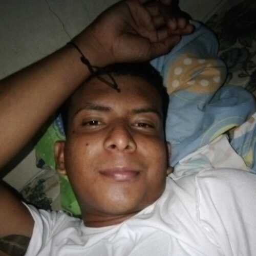jogar445