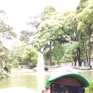 robertojjrol284