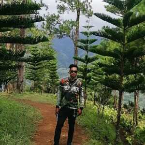 InsightfulIntell528d
