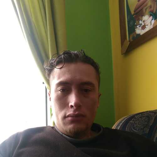 wilys80