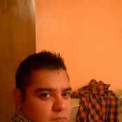 feder19