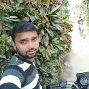bijayb800
