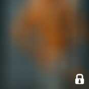 tijay