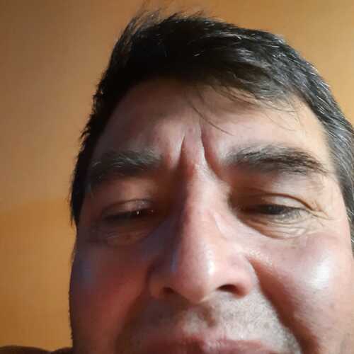 luisdanielsalvatie364