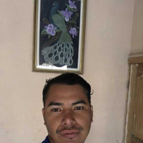 barragangrego369