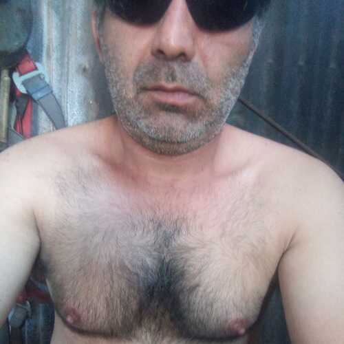 Ferhetero43