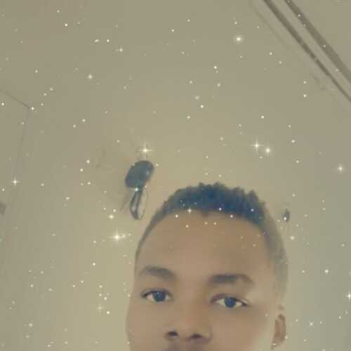dieudonnewil569