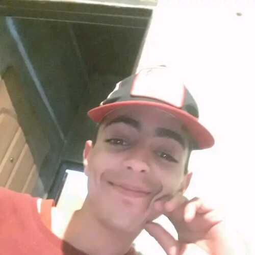 Feede leon