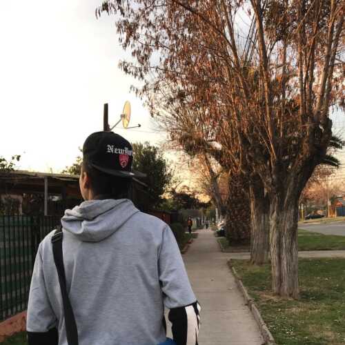 Alonsoo21