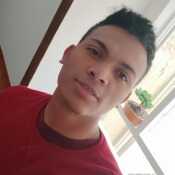 donry15