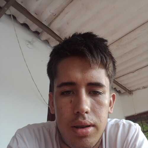 luisdavidro173