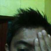 Arvie2016