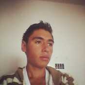 nisch191
