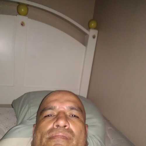 davi337