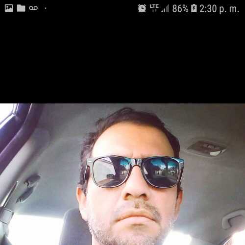 cjfox79