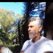 Pichulin 