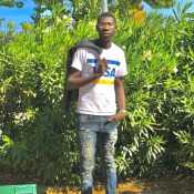 papistarmb505