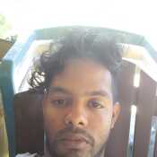 ronnysa209