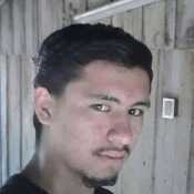 evervi190