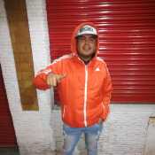 DVDcarp