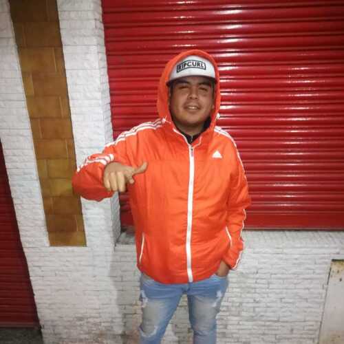 DVDcarp