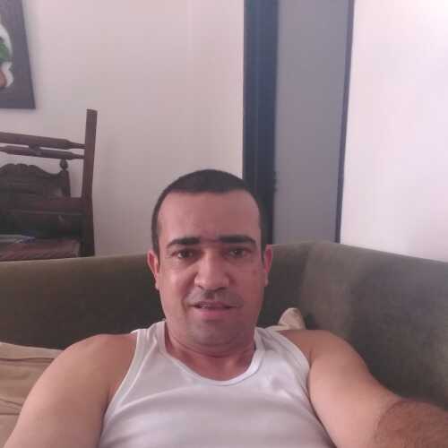 adolfo8347