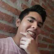 Ovimorales