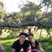 betolan