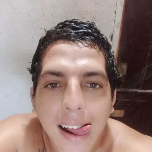 jaracarli286