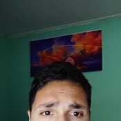 Felix316