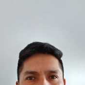 Gigo