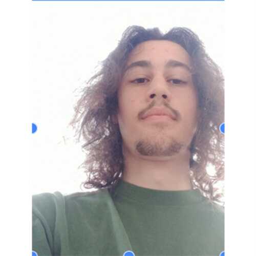 itsfinn245