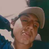 Alex37