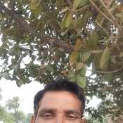 dlalit386