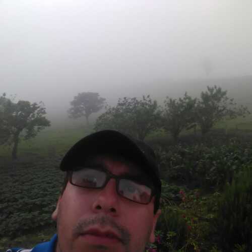 luis9011San