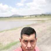 Elvisorrs