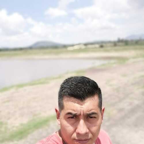 Elvisorrs