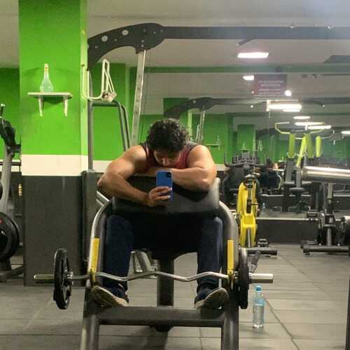 herr146