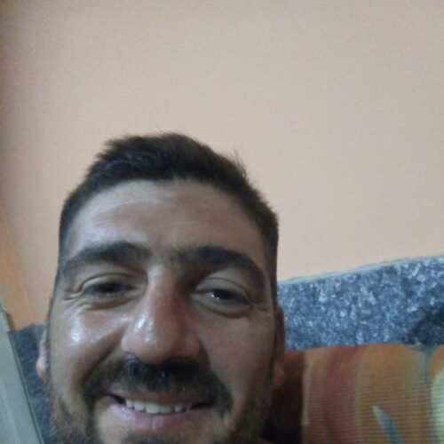 Pollo