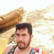 Tauro13