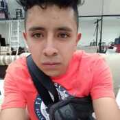 Fabm432